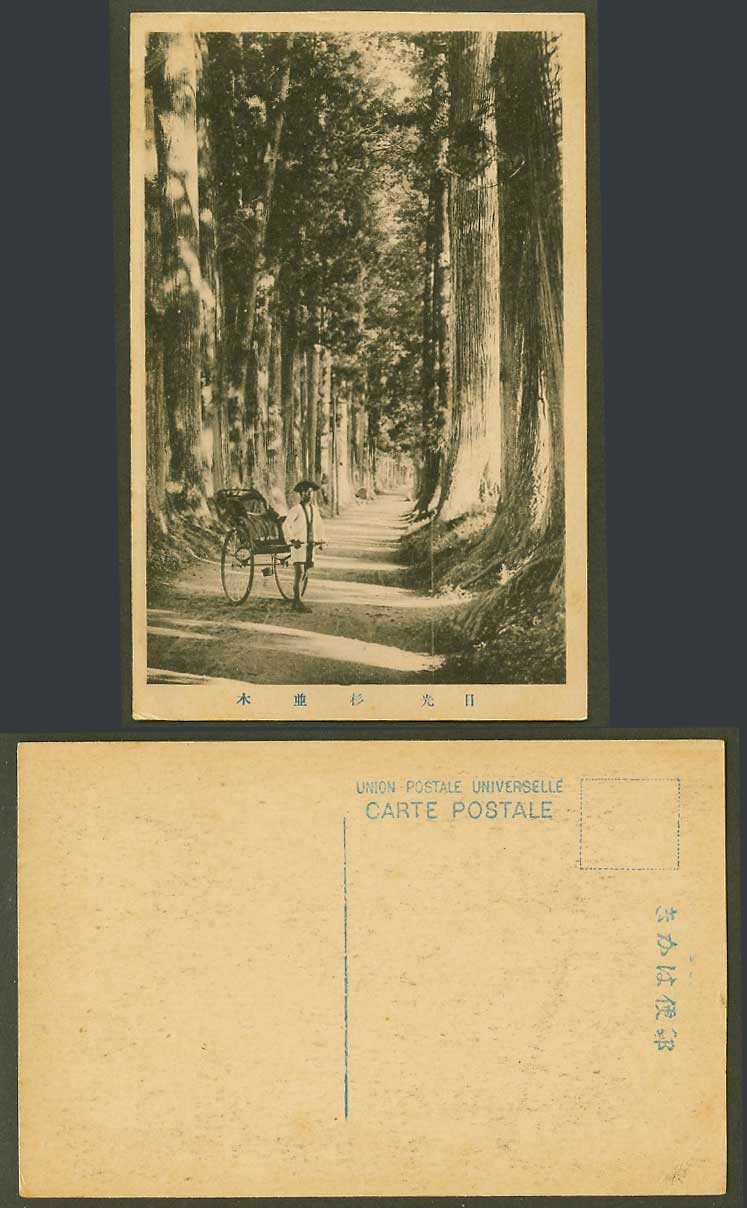 Japan Old Postcard Cryptomeria Road Cedar Avenue, Nikko, Rickshaw, Coolie 日光 杉並木