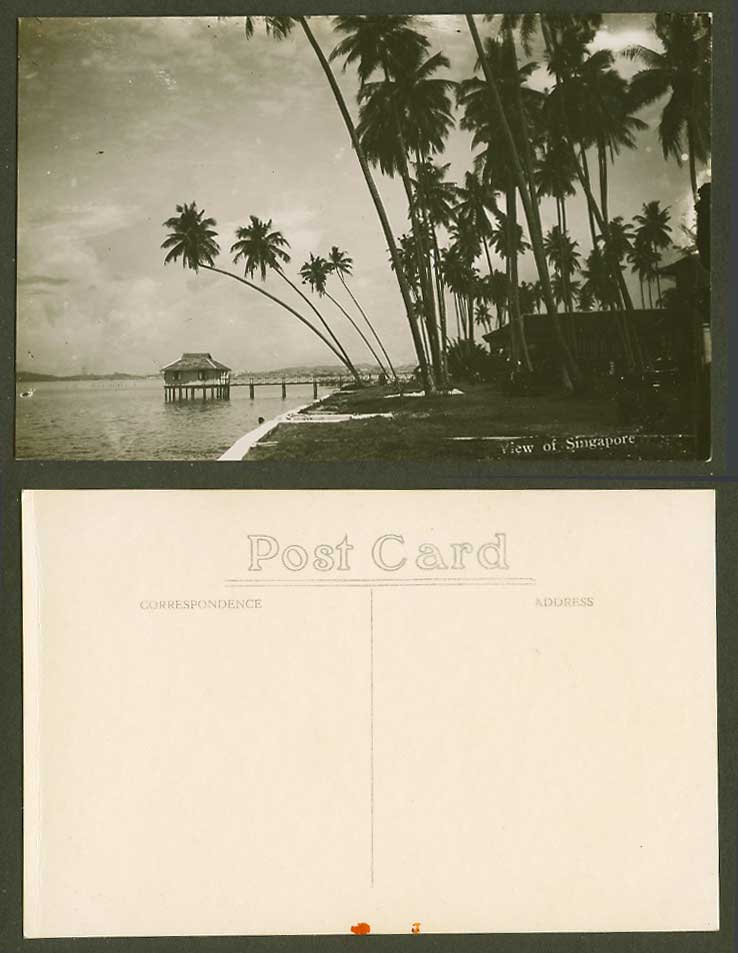 Singapore View of Old Real Photo Postcard Palm Trees Pier Bridge House on Stilts