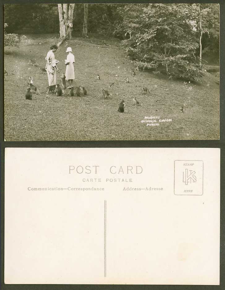 Penang Old Real Photo Postcard Woman and Girl Feeding Monkeys, Botanical Gardens