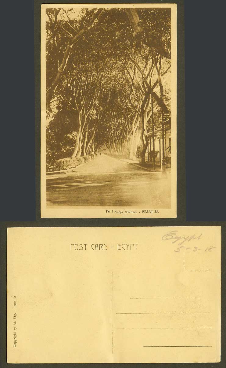 Egypt 1918 Old Postcard Ismailia De Lesseps Avenue Ave Street Scene Trees M. Stg