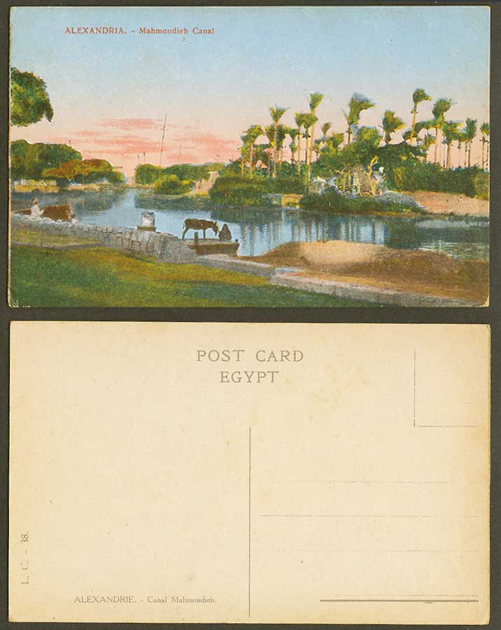 Egypt Old Colour Postcard Alexandria Mahmoudieh Canal, Donkey Palm Trees L.C. 38