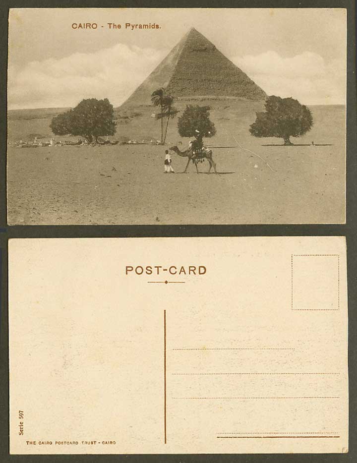 Egypt Old Postcard Cairo The Pyramids Camel Rider Palm Trees Desert Le Caire 597