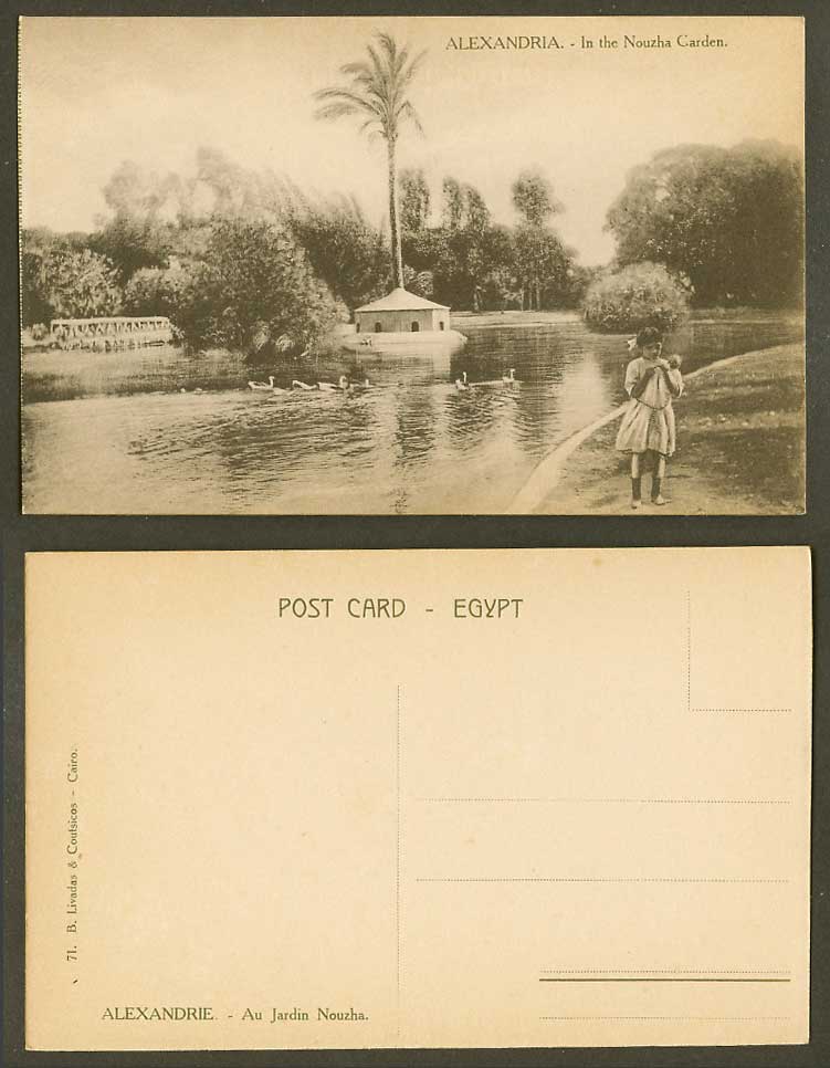 Egypt Old Postcard Alexandria Nouzha Garden Palm Tree Birds Bridge & Little Girl