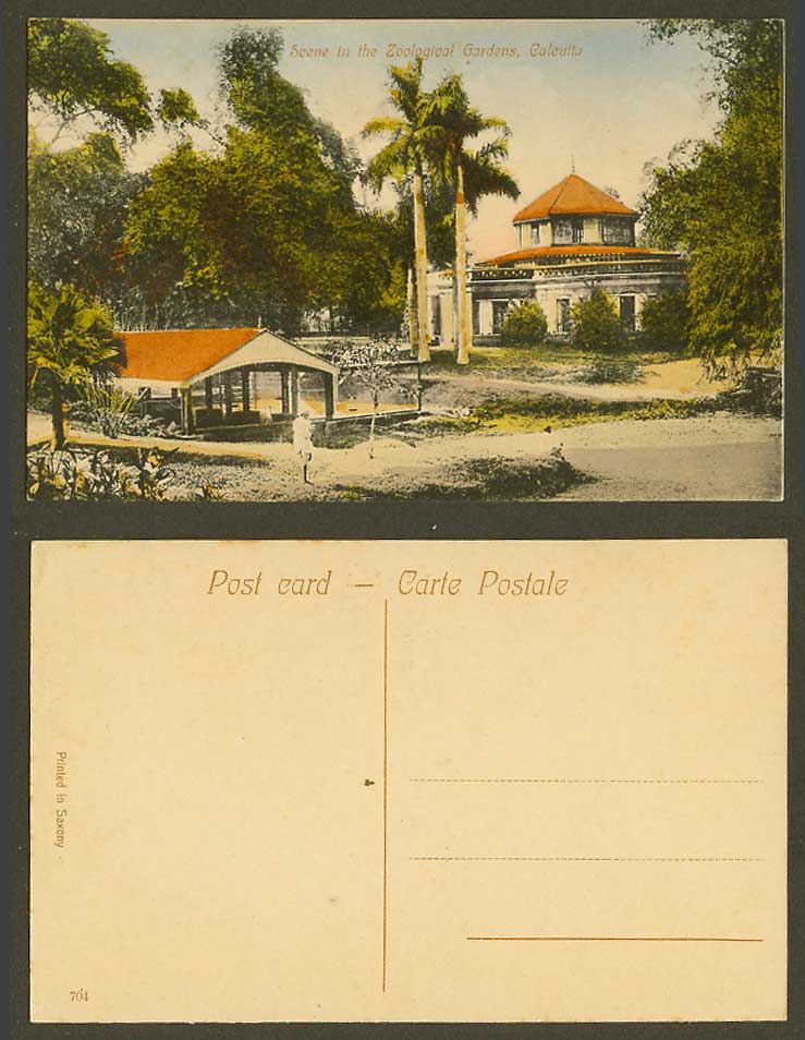 India Old Hand Tinted Postcard Scene in Zoological Gardens, Calcutta, Zoo, Palms