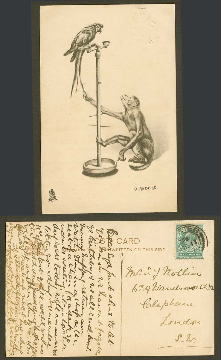 O. Anders Artist Signed 1903 Old Tuck's Postcard Monkey and Bird Parrot Parakeet