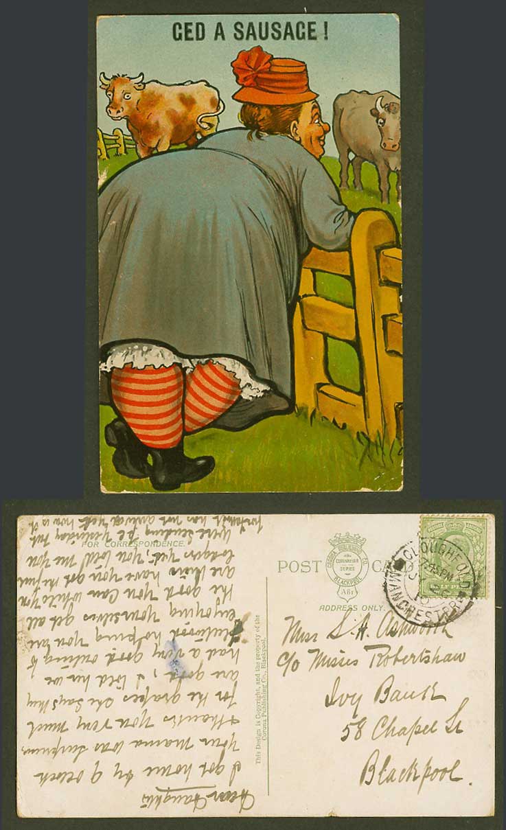 Ged a Sausage Fat Lady Woman and Big Bottom Cattle Cow Bull Ox 1910 Old Postcard