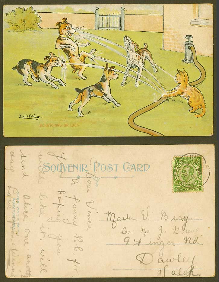 LOUIS WAIN Scratching Up Luck Cat Dogs Puppies Play Water Hose 1912 Old Postcard