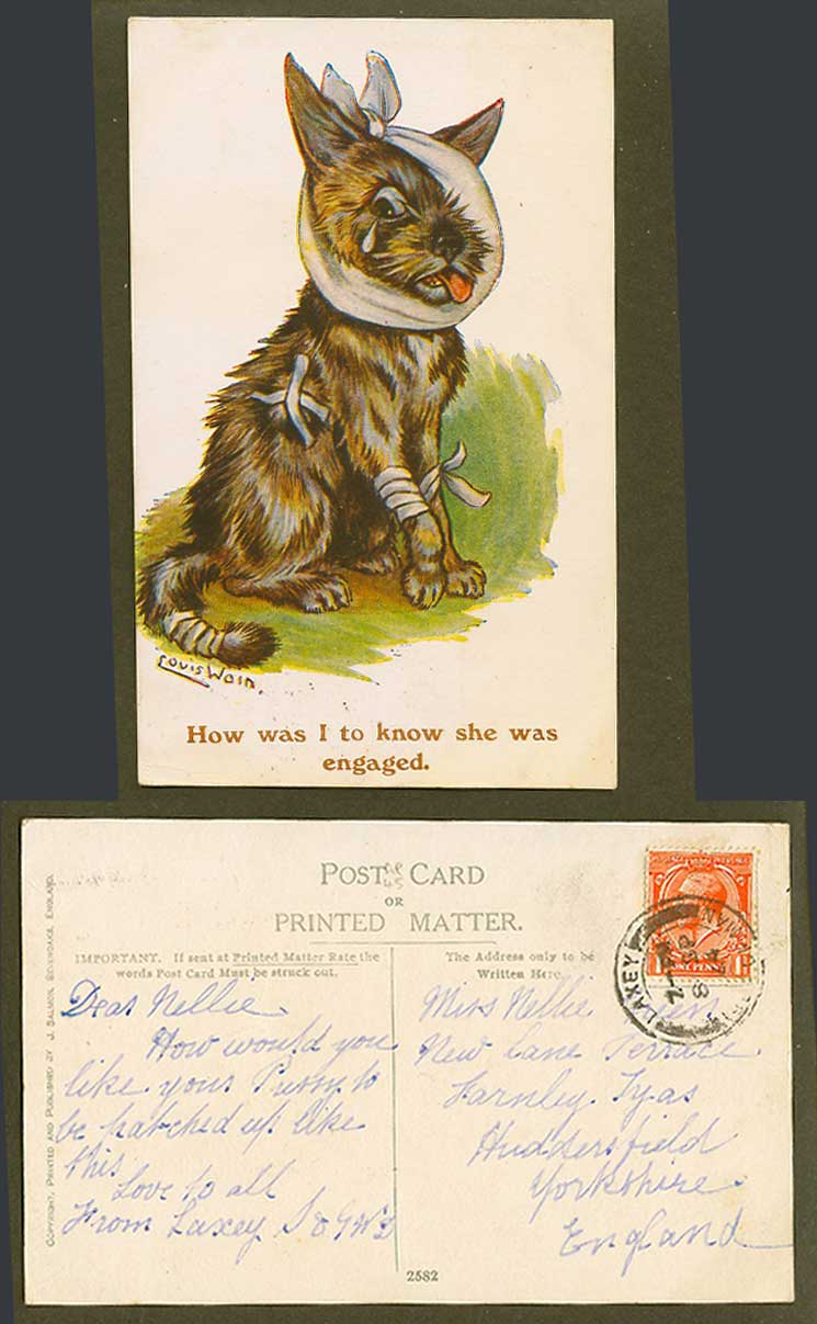 Louis Wain Artist Signed, Cat Kitten, How I Know She's Engaged 1924 Old Postcard