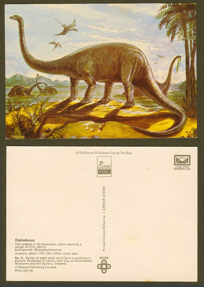 Diplodocus Longest Dinosaur Rhamphorhynchus Jurassic 170-135 Million Yr Postcard