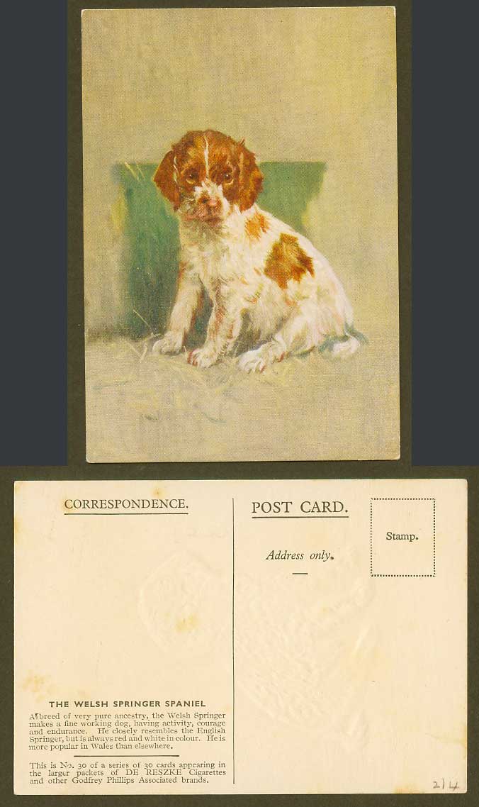 The Welsh Springer Spaniel Dog Puppy Pet Old Postcard De Reszke Cigarettes No.30