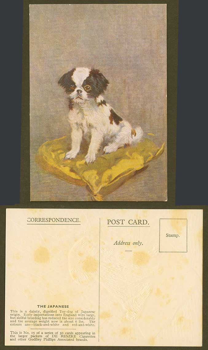 The Japanese Origin Toy-Dog, Dog Puppy, Pet Old Postcard De Reszke Cigarettes 15