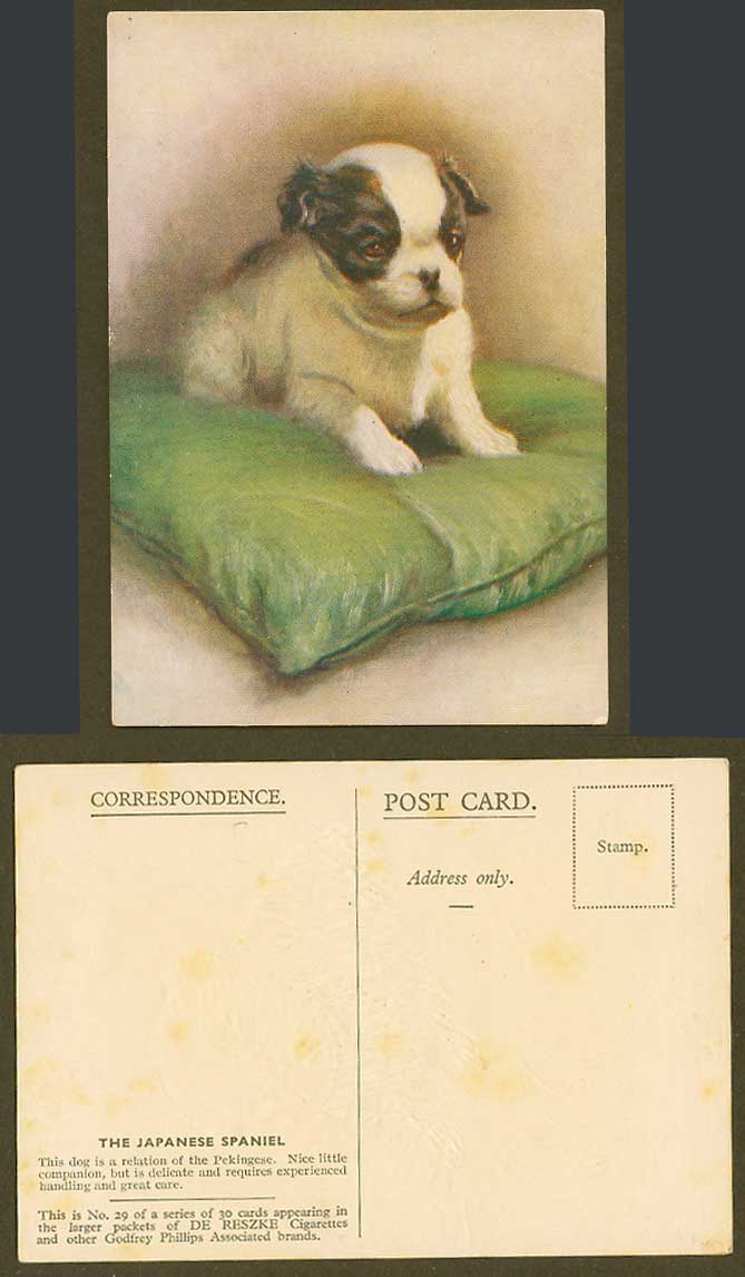 Japanese Spaniel Dog Puppy Pet Artist Drawn Old Postcard De Reszke Cigarettes 29