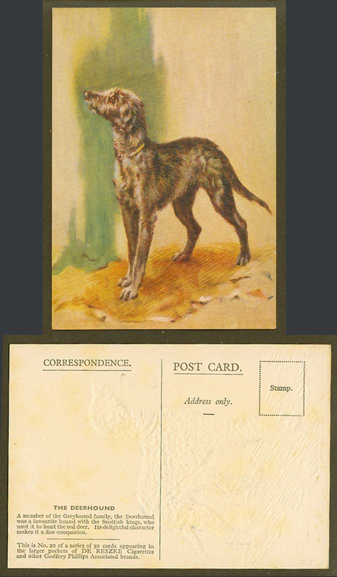 The Deerhound, Dog Puppy Pet, Artist Drawn Old Postcard De Reszke Cigarettes 20.