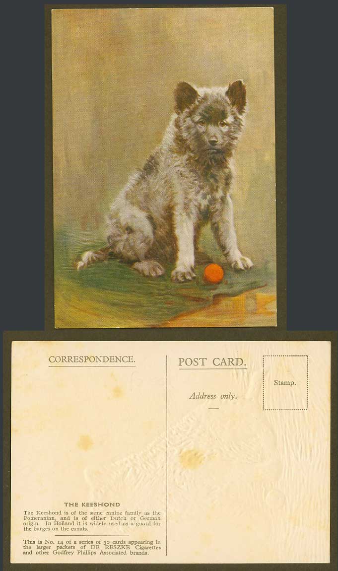 The Keeshond Dog Guard for Barges on Canals Old Postcard De Reszke Cigarettes 14