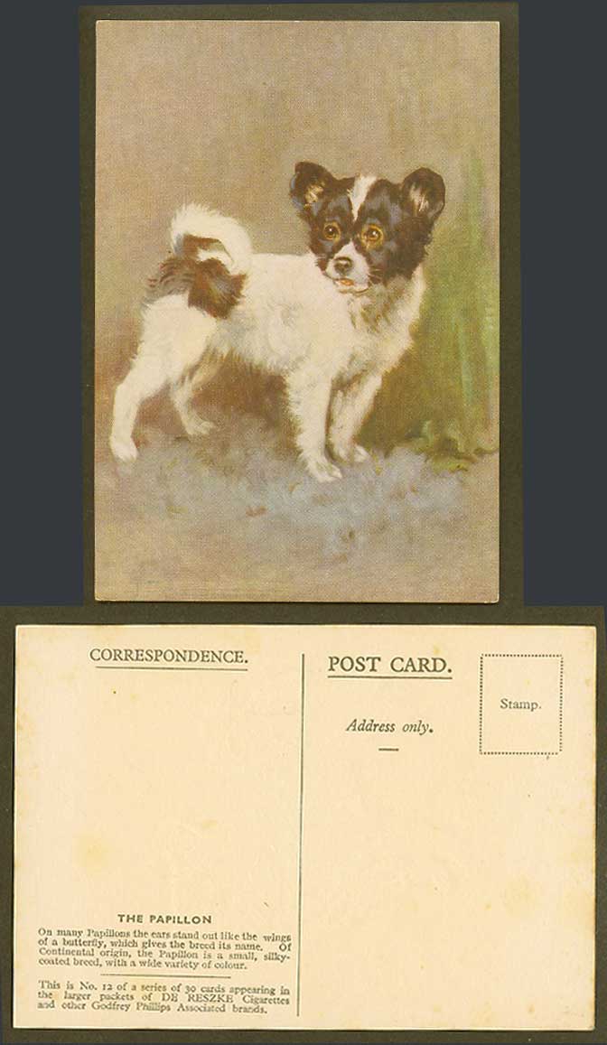 The Papillon Dog Puppy Butterfly Wings Ears Old Postcard De Reszke Cigarettes 12