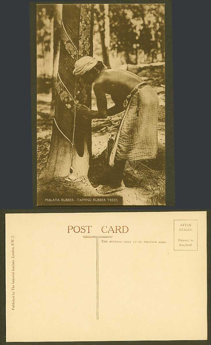 Malaya Rubber Tapping Rubber Trees Malay Tapper Straits Settlements Old Postcard