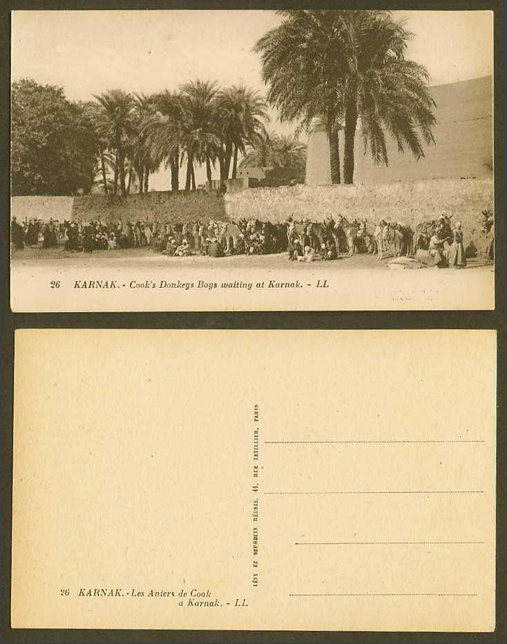 Egypt Old Postcard Cook's Donkeys Donkey Boys Waiting at Karnak Palm Trees LL 26
