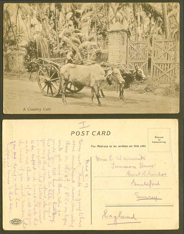 India Old Postcard A Country Cart, Native Driver Double Bullock Cart Countryside