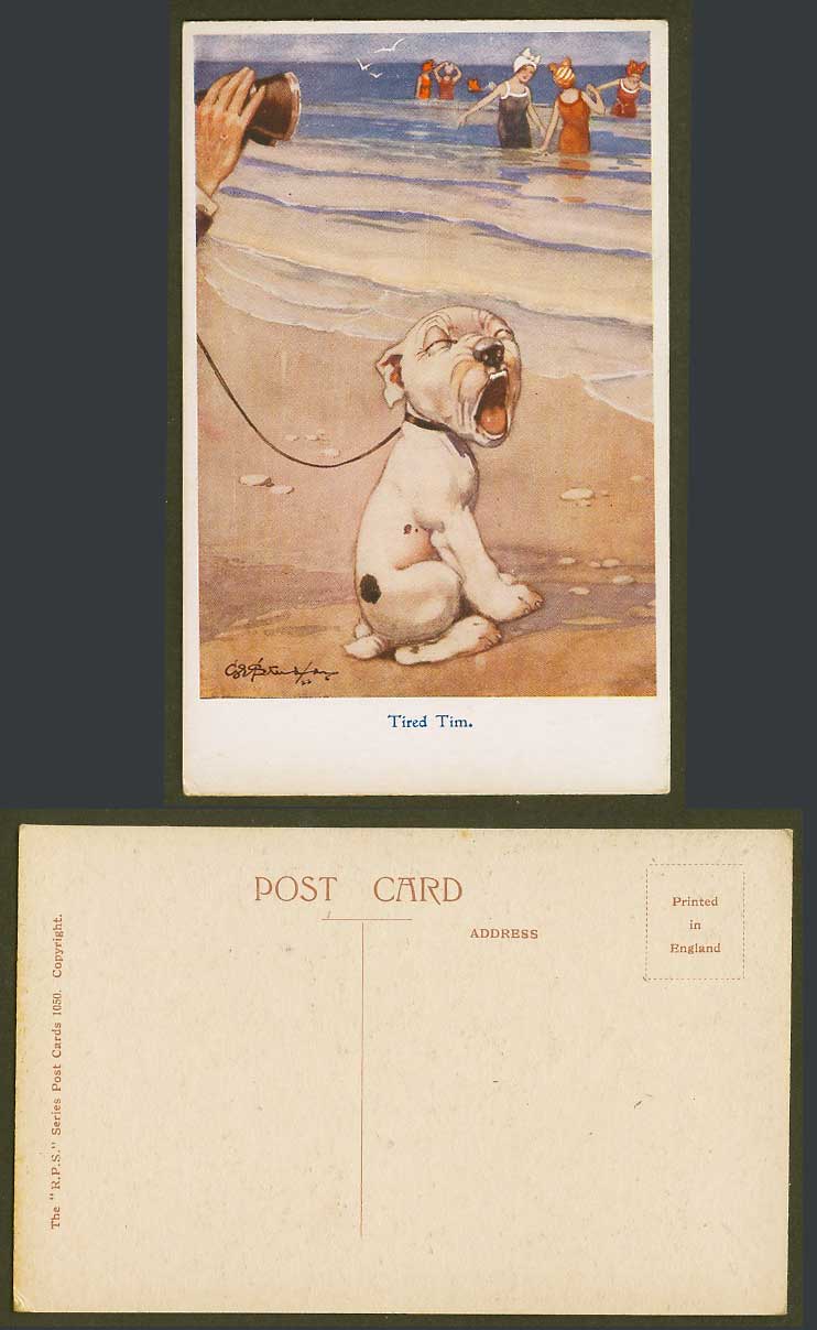 BONZO DOG G.E. Studdy Old Postcard Tired Tim Puppy Yawning on Beach Bathers 1050