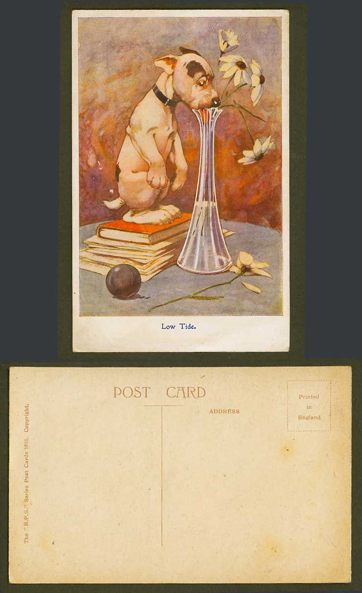 BONZO DOG G.E. Studdy Old Postcard LOW TIDE Long Glass Vase, Flowers, Puppy 1016