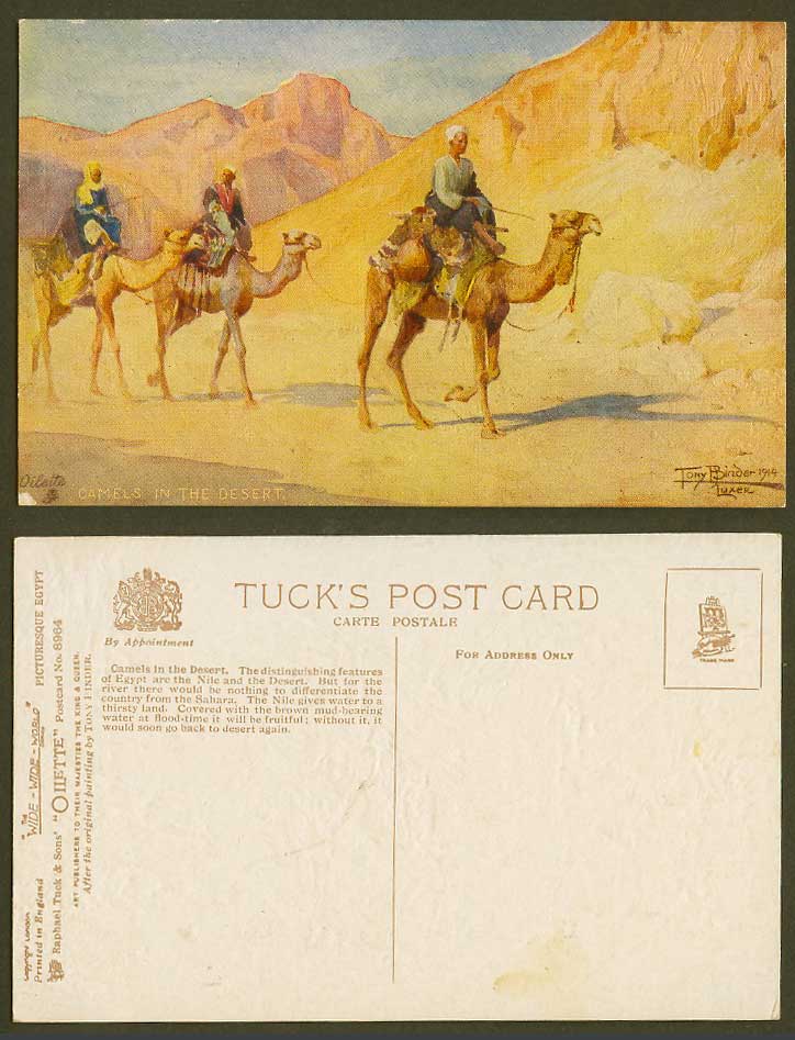 Egypt, Tony Binder Old Tuck's Oilette Postcard Camels in The Desert Camel Riders
