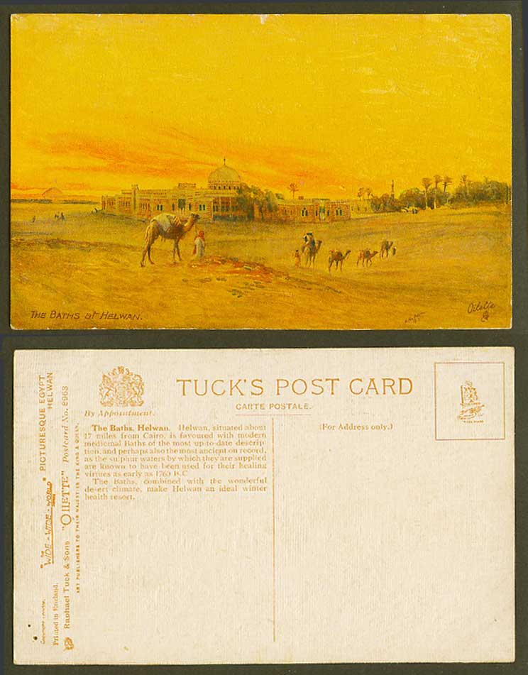 Egypt N Hadden 1911 Old Tuck's Oilette Postcard The Baths at Helwan Desert Camel