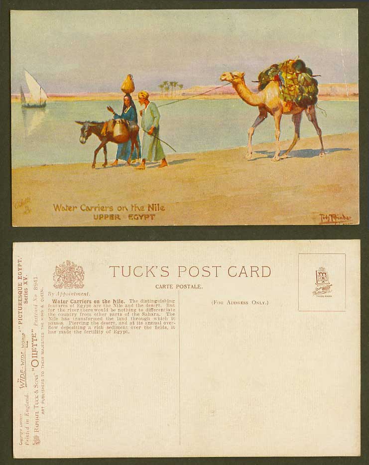 Egypt Tony Binder Old Tuck's Postcard Water Carriers on the Nile, Camel & Donkey