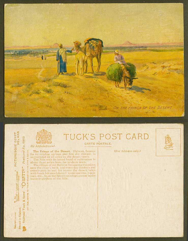 Egypt Tony Binder Old Tuck's Postcard On The Fringe of The Desert, Camels Donkey