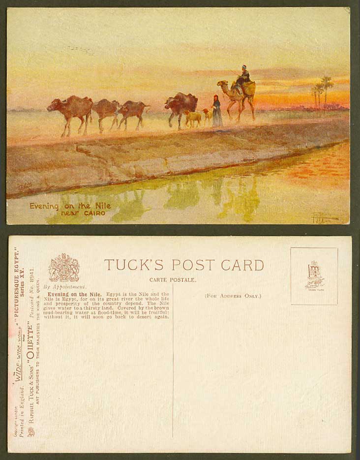 Egypt Tony Binder Old Tuck's Postcard Evening on Nile near Cairo Buffaloes Camel