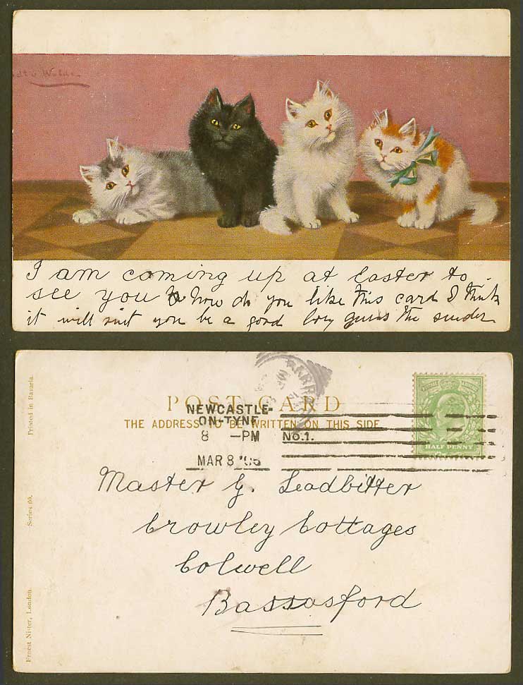 4 Cats Kittens, Artist Signed 1905 Old UB Postcard Black Cat Kitten Pets Animals