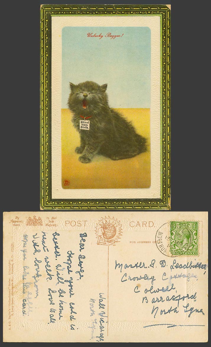 Black Cat Kitten with Blind from Birth Unlucky Beggar 1914 Old Embossed Postcard