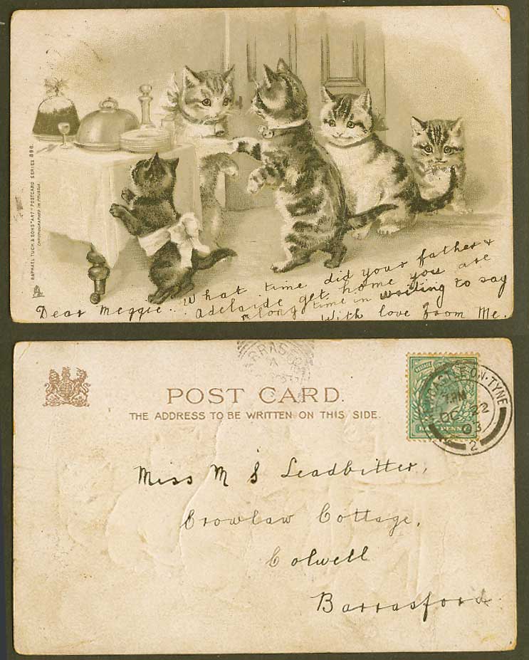 Helena Maguire Cat Kitten Cats Kittens Shaking Hands 1903 Old Tuck's UB Postcard