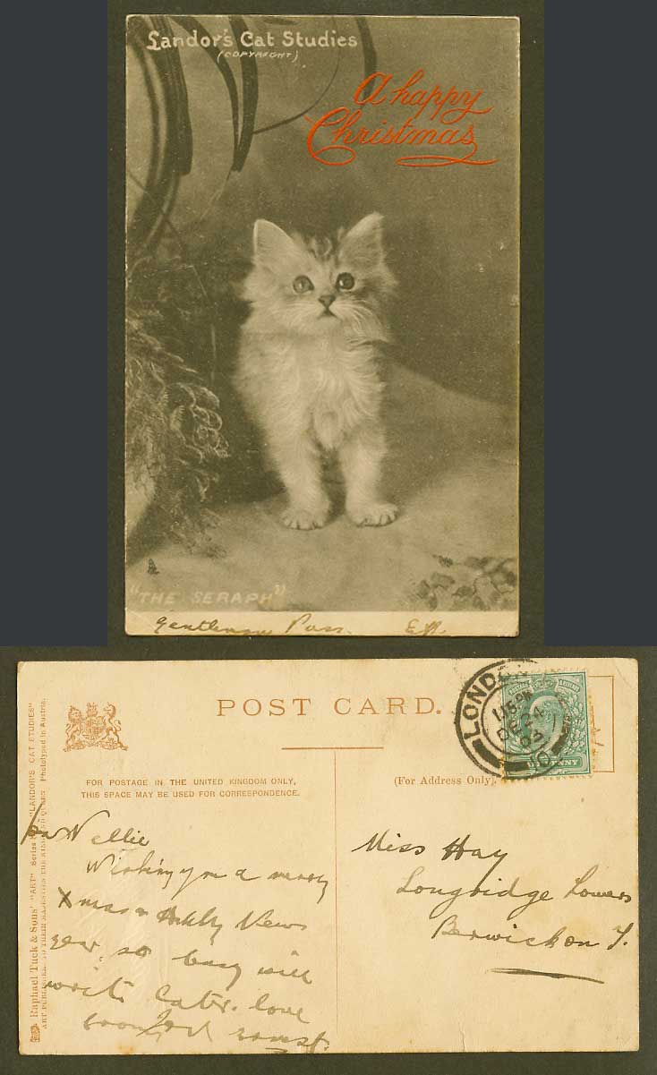 Kitten THE SERAPH 1903 Old Tuck's Postcard Landor's Cat Studies, Happy Christmas