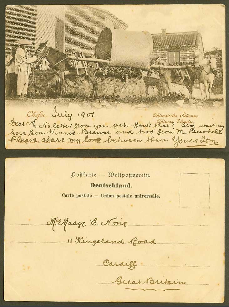 China 1901 Old Postcard Chefoo Cheefoo Chinese Chentse Schenze, Donkey Mule Cart