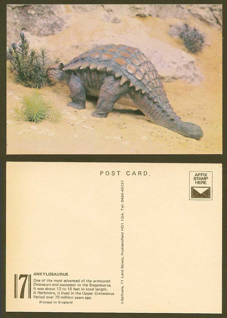 Dinosaur Ankylosaurus, Herbivore, Upper Cretaceous Period, Artist Drawn Postcard