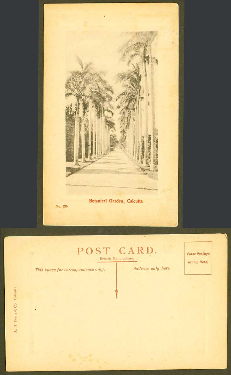 India Old Postcard Botanical Garden Calcutta Palm Trees Botanic Gardens No. 135