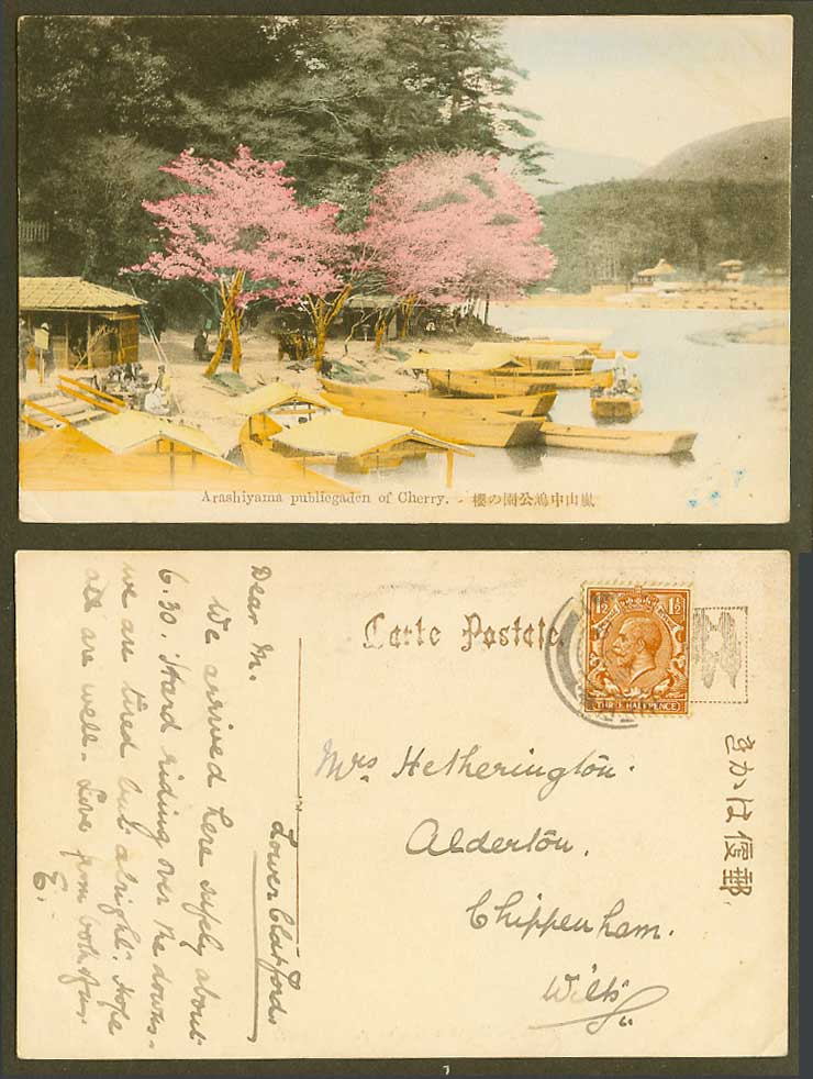 Japan 1919 Old Hand Tinted Postcard Arashiyama Public Garden Cherry Blossom 中嶋公園