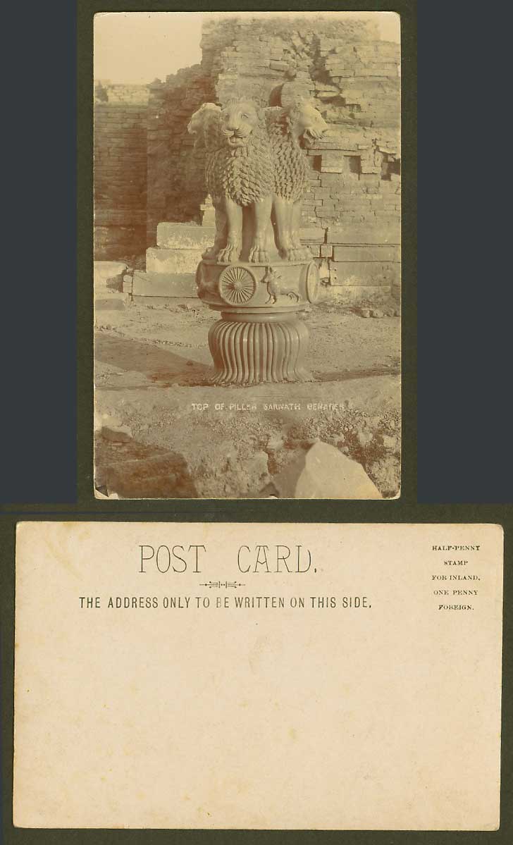 India Old Real Photo Postcard Top of Pillar, Sarnath, Benares, Lion Lions Statue