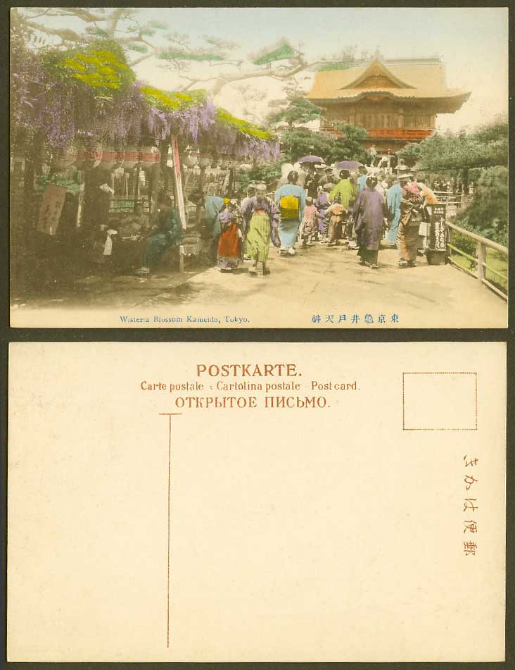 Japan Old Hand Tinted Postcard Wisteria Blossom Kameido Tokyo Paper Lanterns 龜井戶