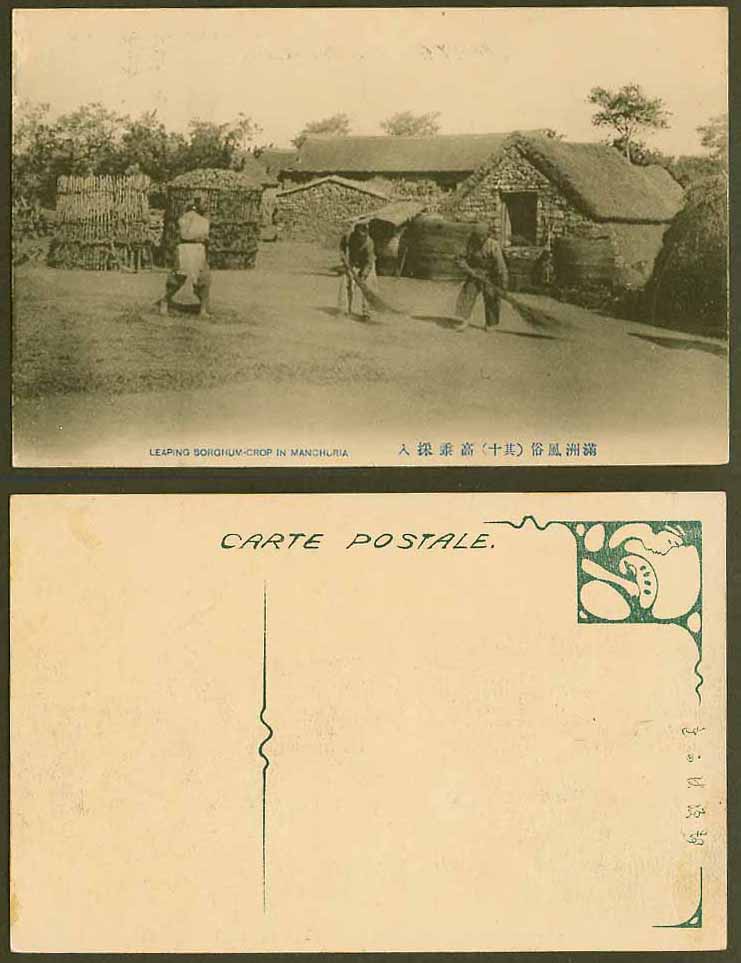 China Old Postcard Manchu Farmers - Leaping Sorghum Crop in Manchuria 滿洲 高黍採人 10