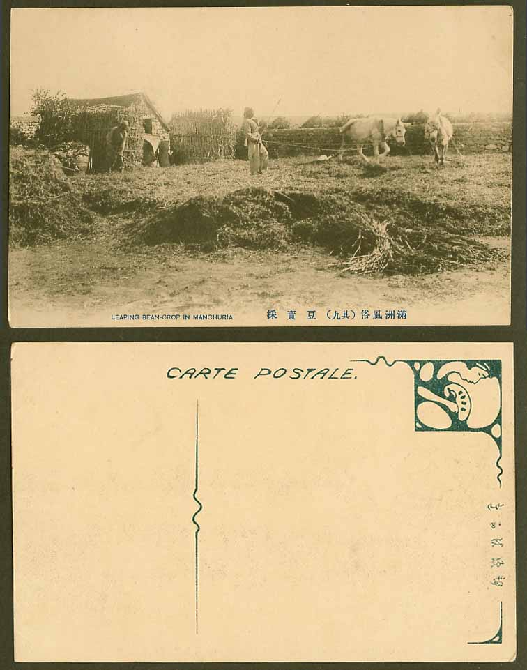 China Old Postcard Manchu Farmers Leaping Bean Crop in Manchuria Donkey 滿洲 豆寶採 9