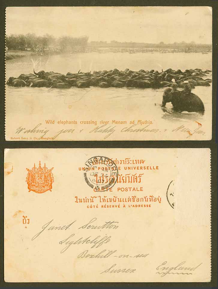 Siam Thailand 1907 Old Postcard Wild Elephants Crossing River Menam ad Ajuthia