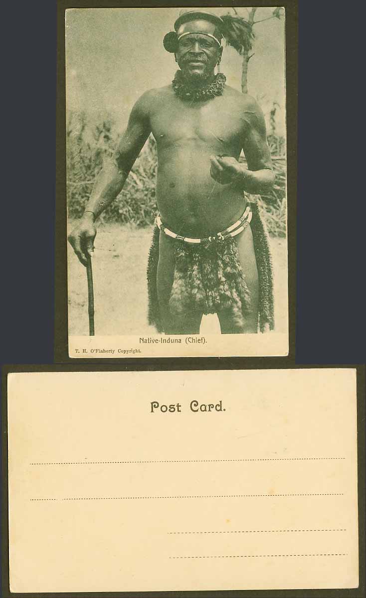 South Africa Old UB Postcard Native Induna Chief, Native Black Man Costumes Zulu