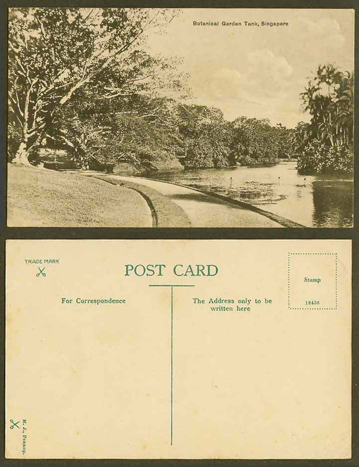 Singapore Old Postcard  Botanical Garden Tank Botanic Gardens Lake Palm Trees Rd