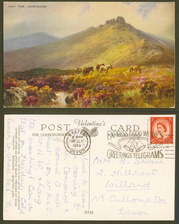 Dartmoor Hay Tor Haytor Ponies Horses Pony Horse, Brian Gerald 1959 Old Postcard