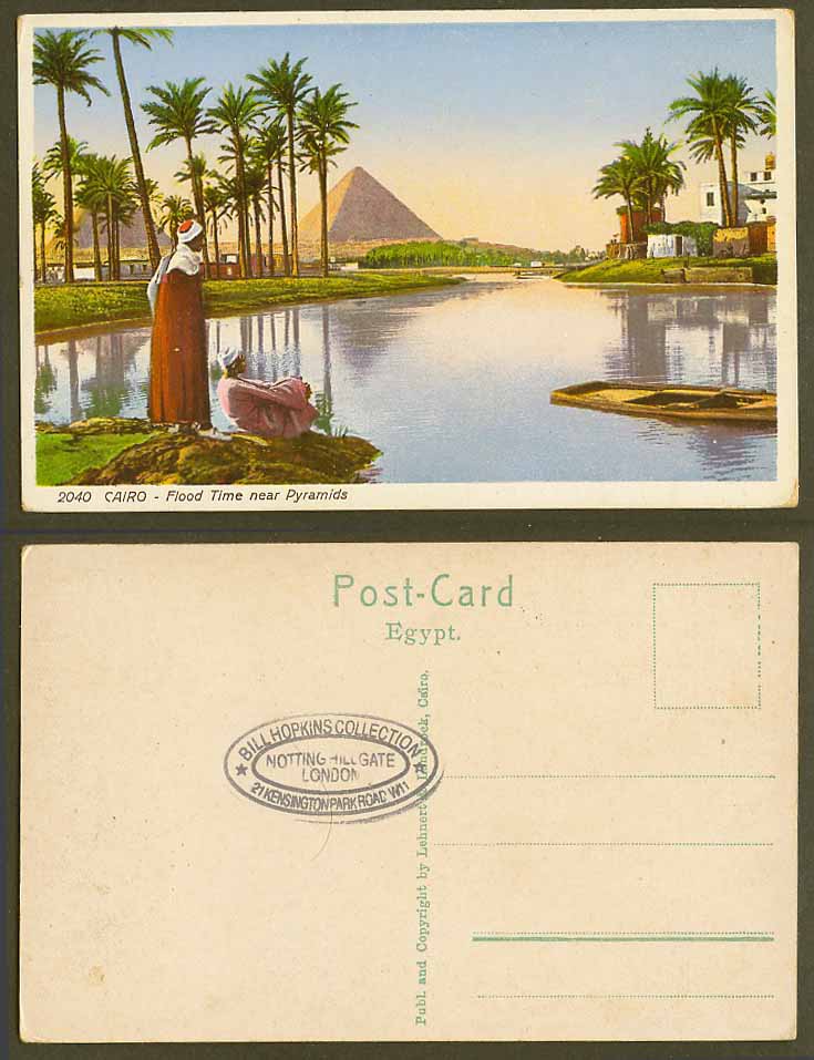 Egypt Old Colour Postcard Cairo, Flood Time near Pyramids Giza Gizeh, Palm Trees