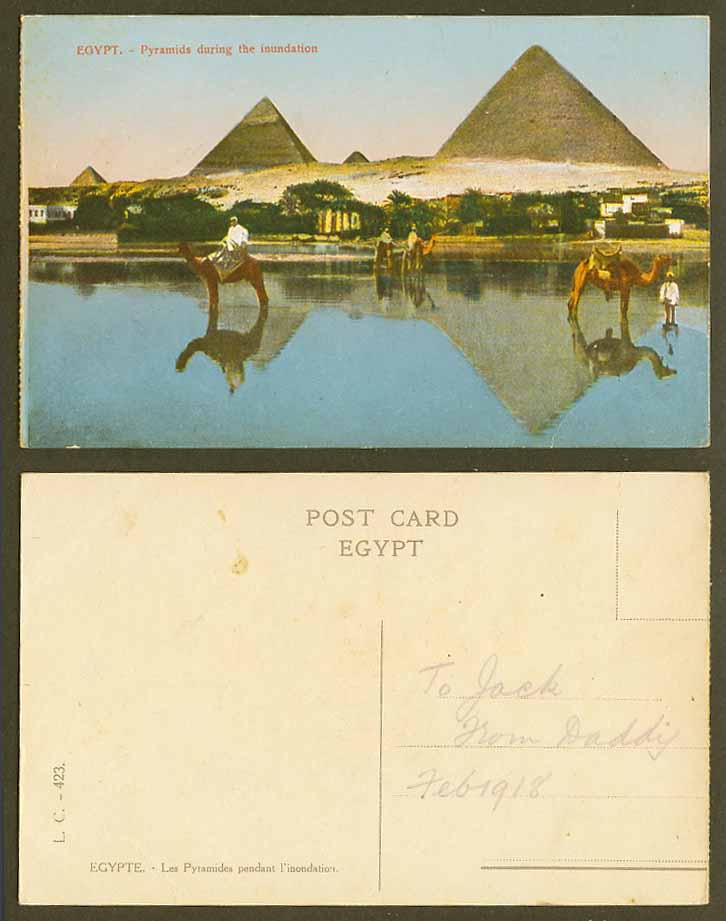 Egypt Old Colour Postcard Cairo Pyramids Giza During Inundation, Flooding Camels
