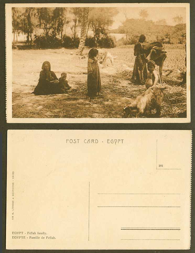 Egypt Old Postcard Famille de Fellah Family Children Boy Girl Goat Cattle Donkey