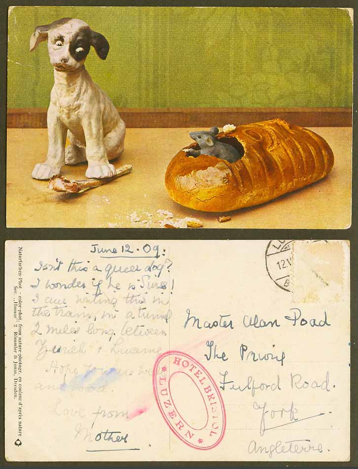 Dog Puppy Looking at a Mouse Rat in Bread 1909 Old Postcard Artist Drawn Humour