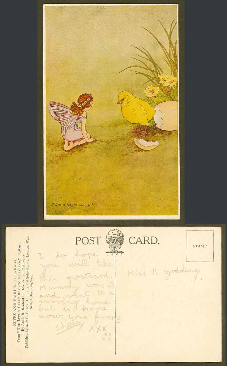 IR & G OUTHWAITE Old Postcard Chick Bird Egg Fairy Flower What a Fright She Got!